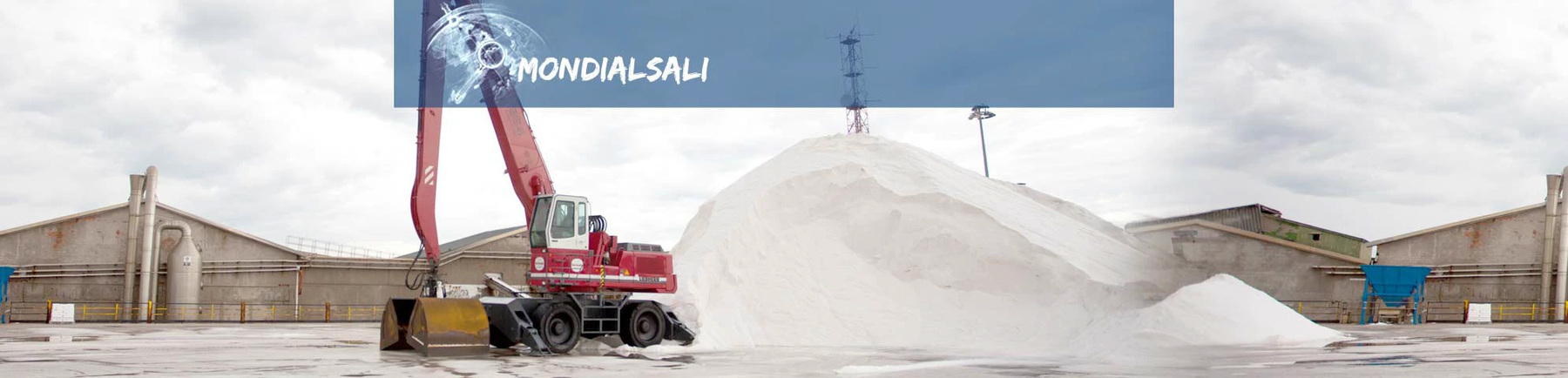 Mondial Sali — Identità e contesto aziendale